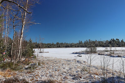 Wildseemoor
