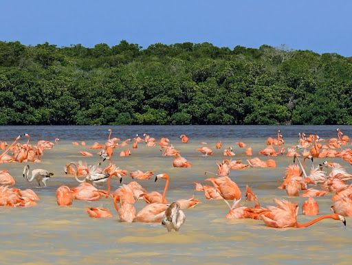 Ojo de Agua Baldiosera