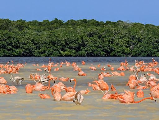Ojo de Agua Baldiosera