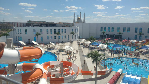 Aquapark Tree Of Life