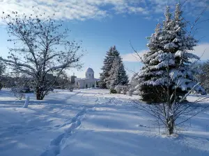 Shlyakhovyy Palats