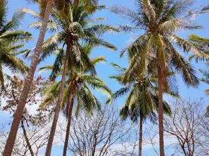Pantai Papa