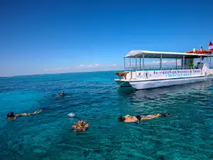 Islander Girl Snorkel & Tours