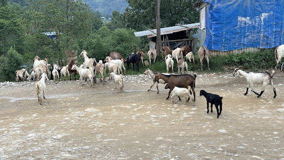 Sankhuwasabha