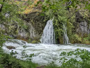 Salmon Creek Falls Day Use Area