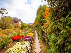 Divine Garden