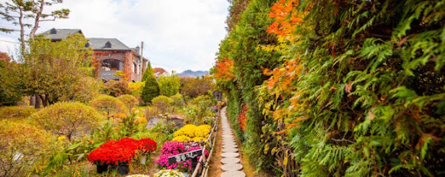 Divine Garden