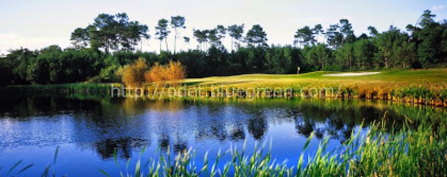 Golf Blue Green Odet