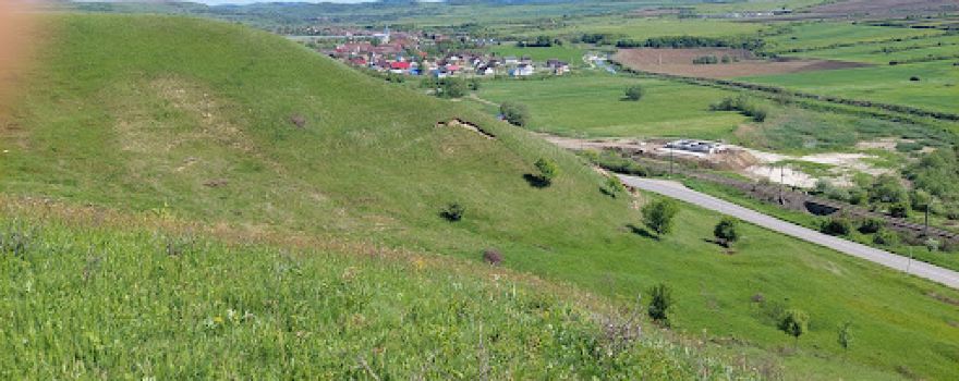 Rezervația Naturală „Râpa cu Păpuși”