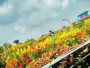 Taman Bunga Shinta