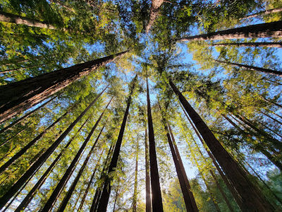 DeLaveaga Park
