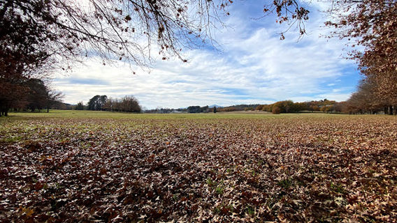 Yarralumla