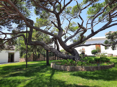 Casa e Tomba di Garibaldi