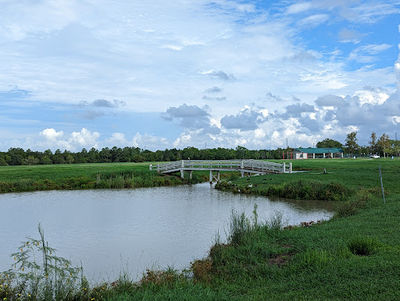 Jack Brooks Park