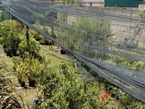 Vivero Mobilia