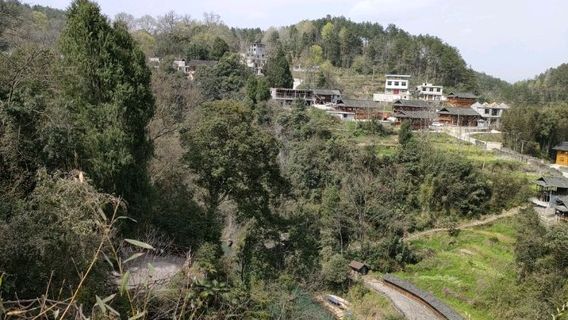 Songtao
