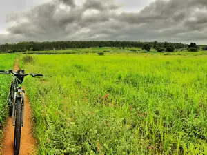 Avalahalli Forest
