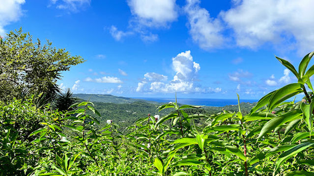 Flower Forest Botanical Gardens