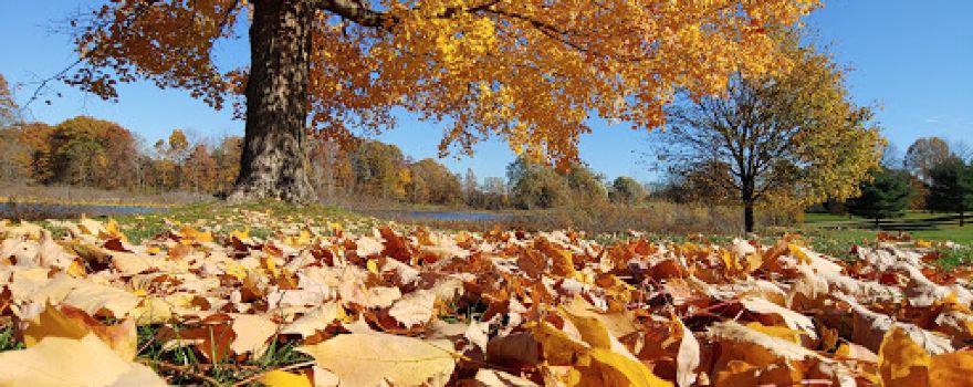 Elbel Park Golf Course