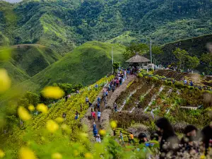 Landingan Viewpoint