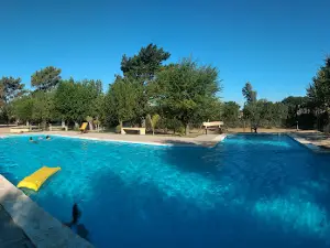 Cabins-Camping El Gringo
