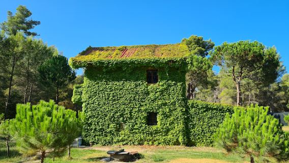 Parco nazionale di Divjakë-Karavasta