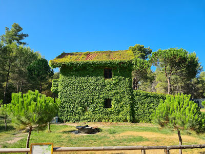 Divjaka-Karavasta National Park