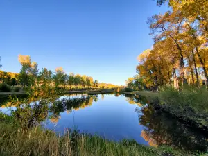 Peacock Meadows Riverside RV Park and Campground