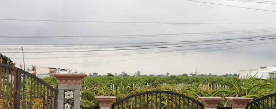 Giáo họ An Tôn