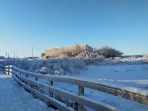 Парк Пинкис
