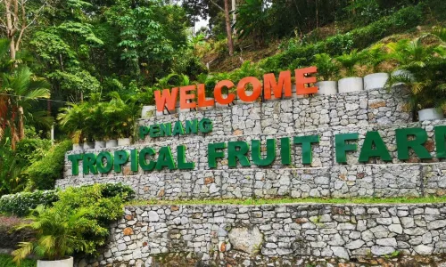 Tropical Fruit Farm