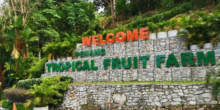 Hotels near Tropical Fruit Farm