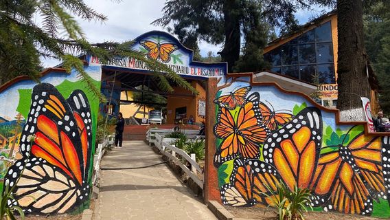 "El Rosario" Monarch Butterfly Sanctuary