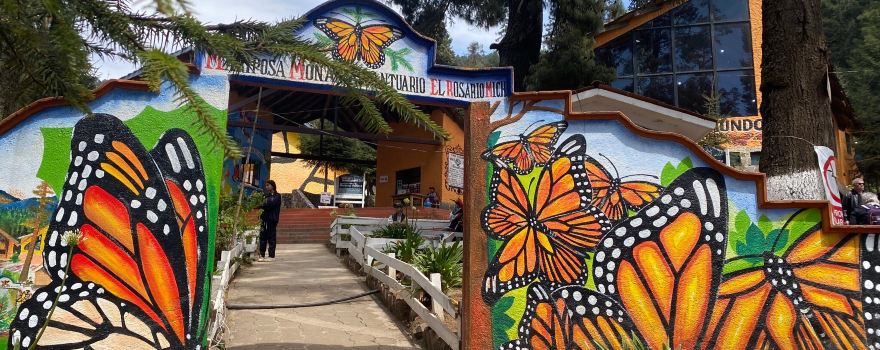 "El Rosario" Monarch Butterfly Sanctuary