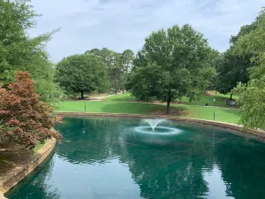 Freedom Park