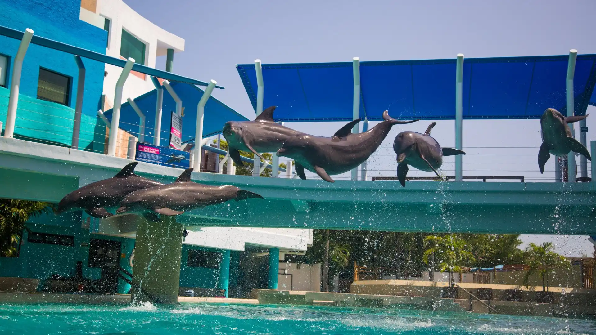 Hotels near Interactive Aquarium Cancún