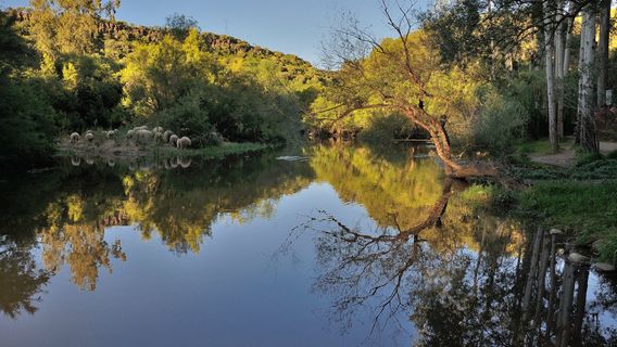 Sorgenti Su Gologone