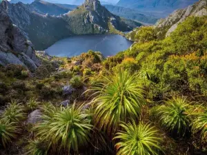 Southwest National Park