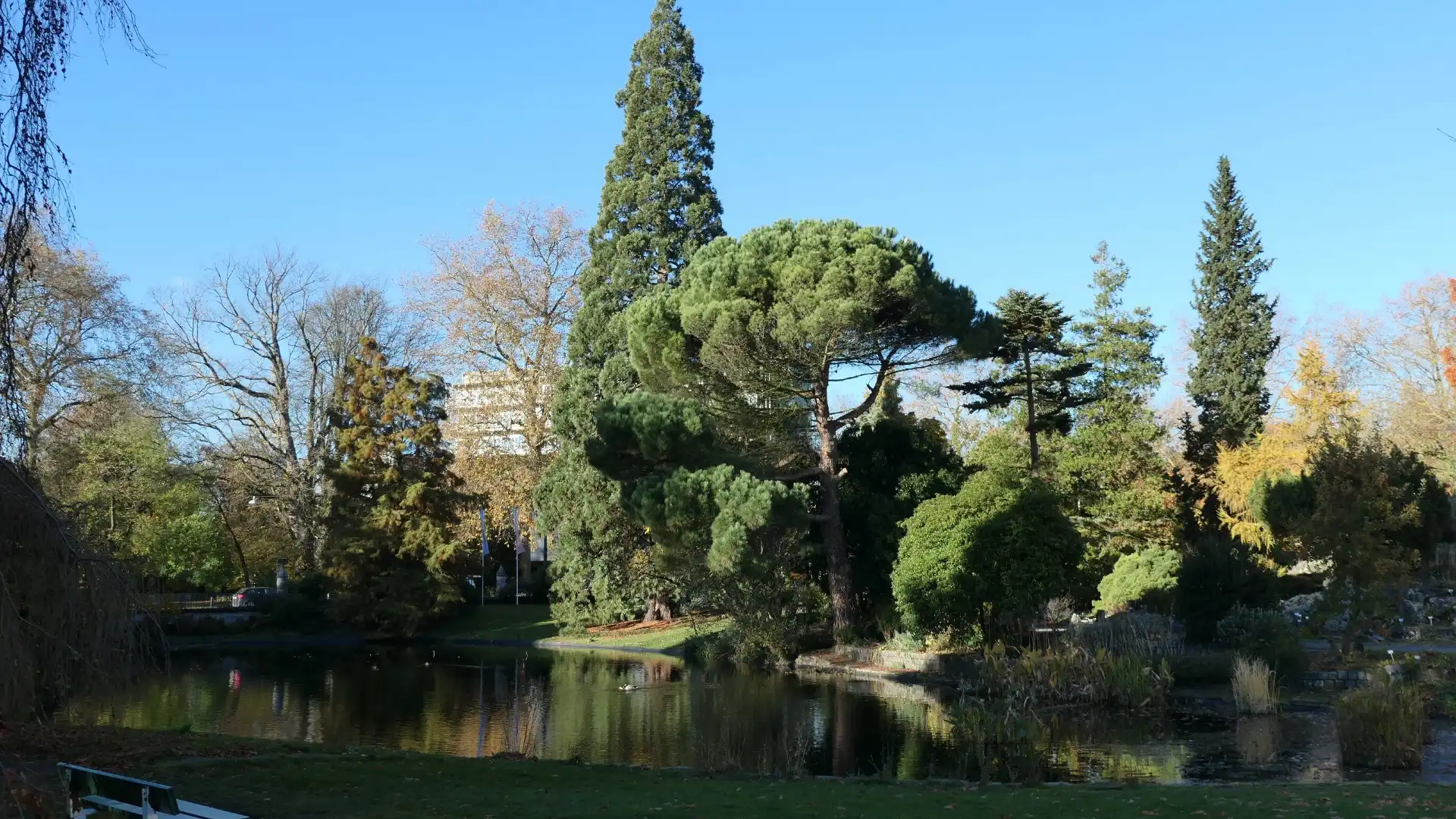 鄰近Ghent University Botanical Garden的酒店