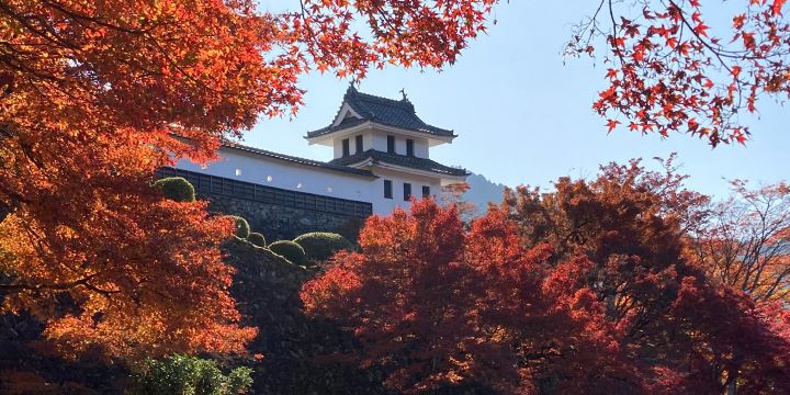 Gujo Hachiman Castle