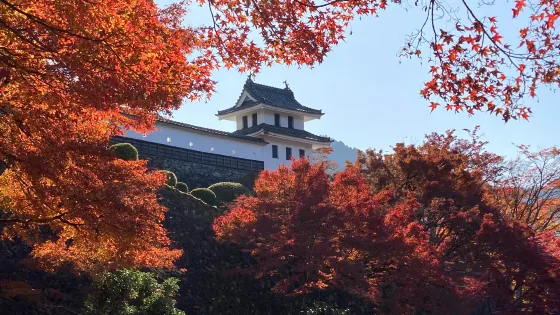 郡上八幡城