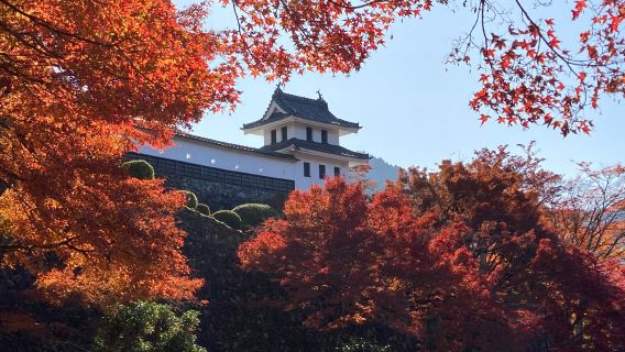 Gujo Hachiman Castle