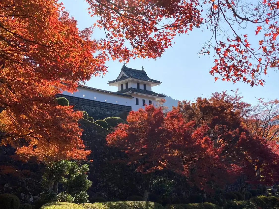 Hotel in zona Gujo Hachiman Castle