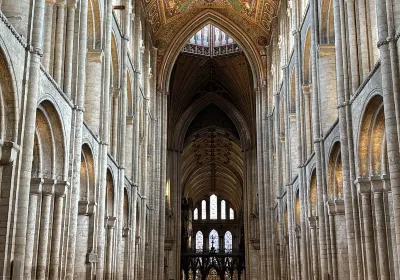Ely