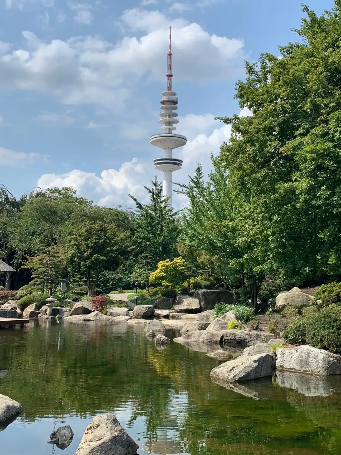 Hotels near Old Botanical Garden