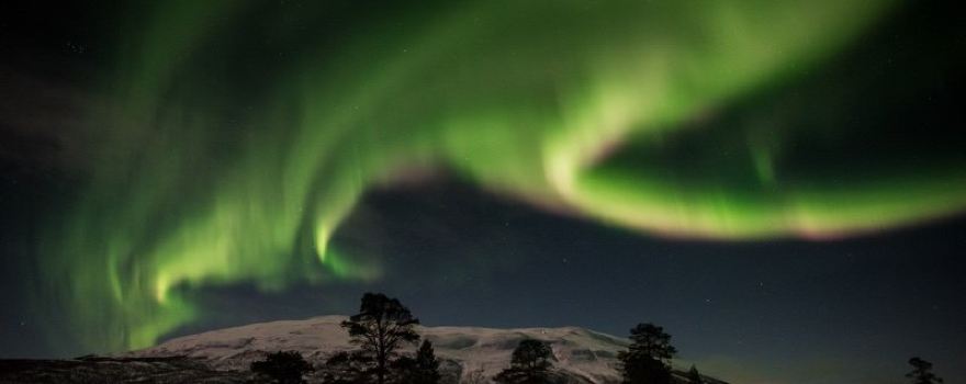 Wild Sweden