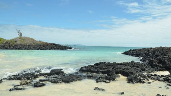 El Garrapatero