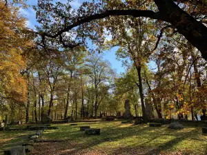 Disibodenberg