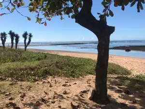Manguinhos Beach