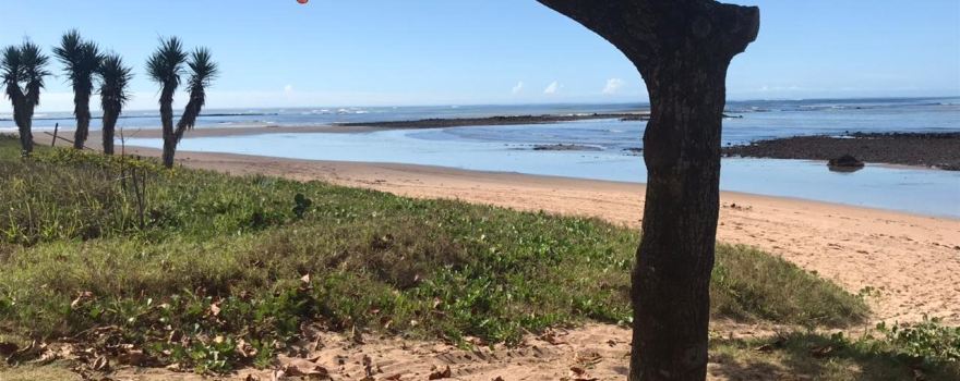 São Francisco de Itabapoana